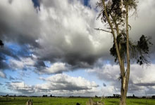 开云体育-当德甲霸主遇上紫金王朝：曼城“登顶湖人”背后的体育资本迷局