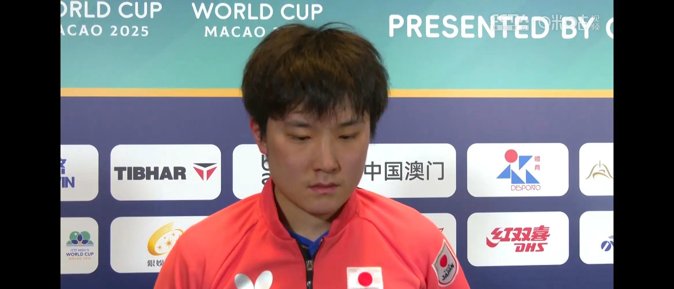 法国乒乓球队横扫英国乒乓球队，张本智和绝境逆转