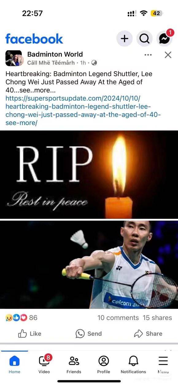 关于法国羽毛球队横扫日本羽毛球队，陶菲克绝境逆转的信息