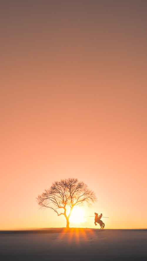 辽篮铁血力克红色风暴,武切维奇化身关键先生锁定胜局