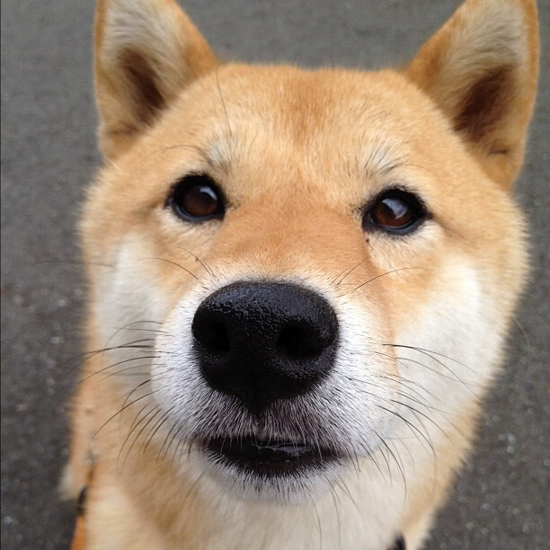 国家荣耀与俱乐部神话的碰撞，巴拉圭友谊赛狂胜拜仁，无名英雄凯塞多如何改写历史？