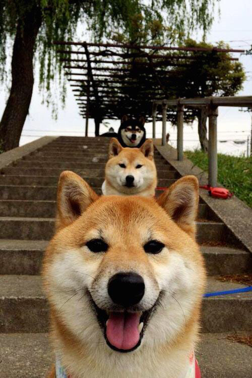 威尔士风暴席卷阿诺埃塔，门迪一人撑起皇社脊柱