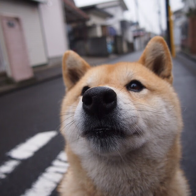 西决生死战之夜，当喧嚣浪花撞上黄喜灿这块礁石