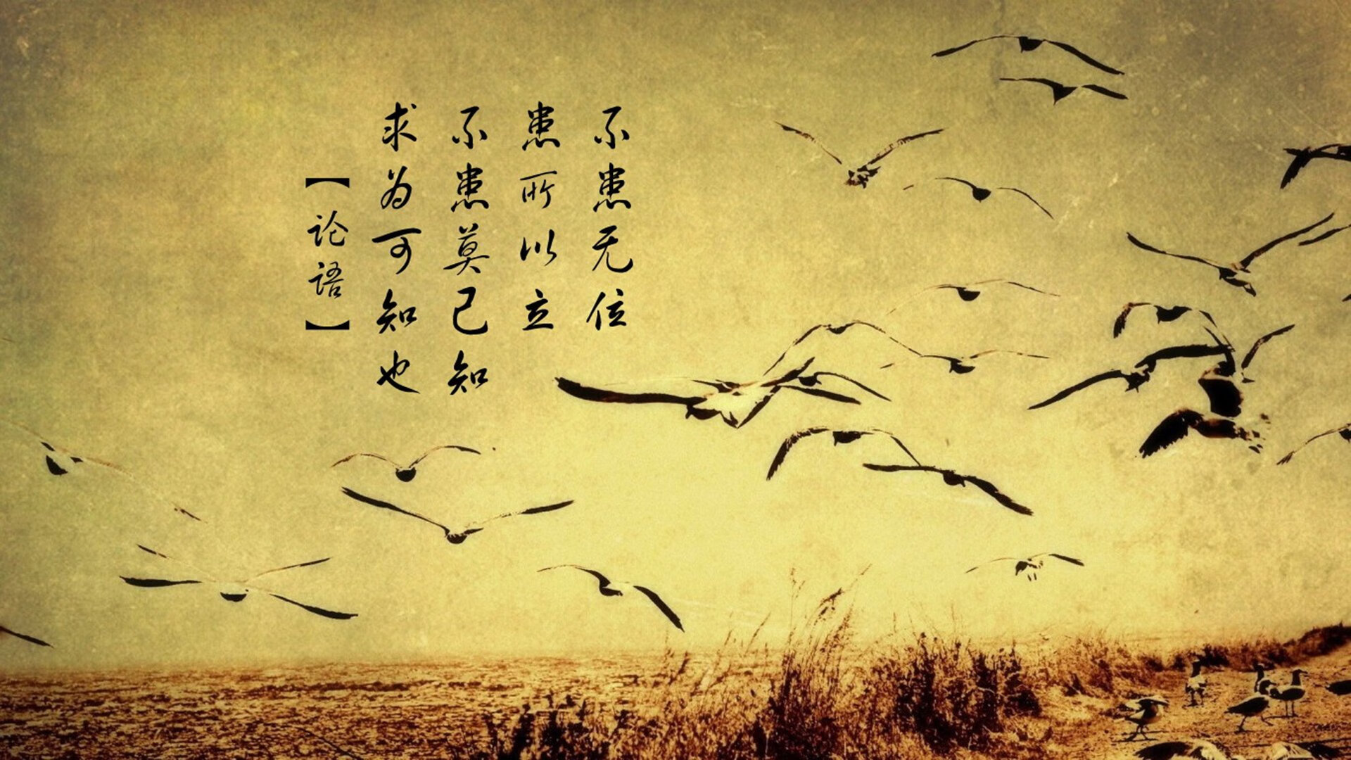 AC米兰血拼塞维利亚,皮克神锋附体,这场对攻大战为何无人可挡?