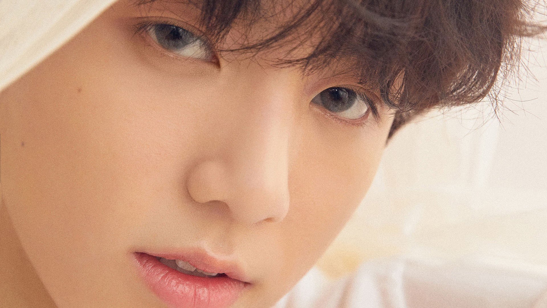 开云体育登录-喧嚣与救赎，当黄蜂的毒刺，遇上福克斯的嗜血时刻