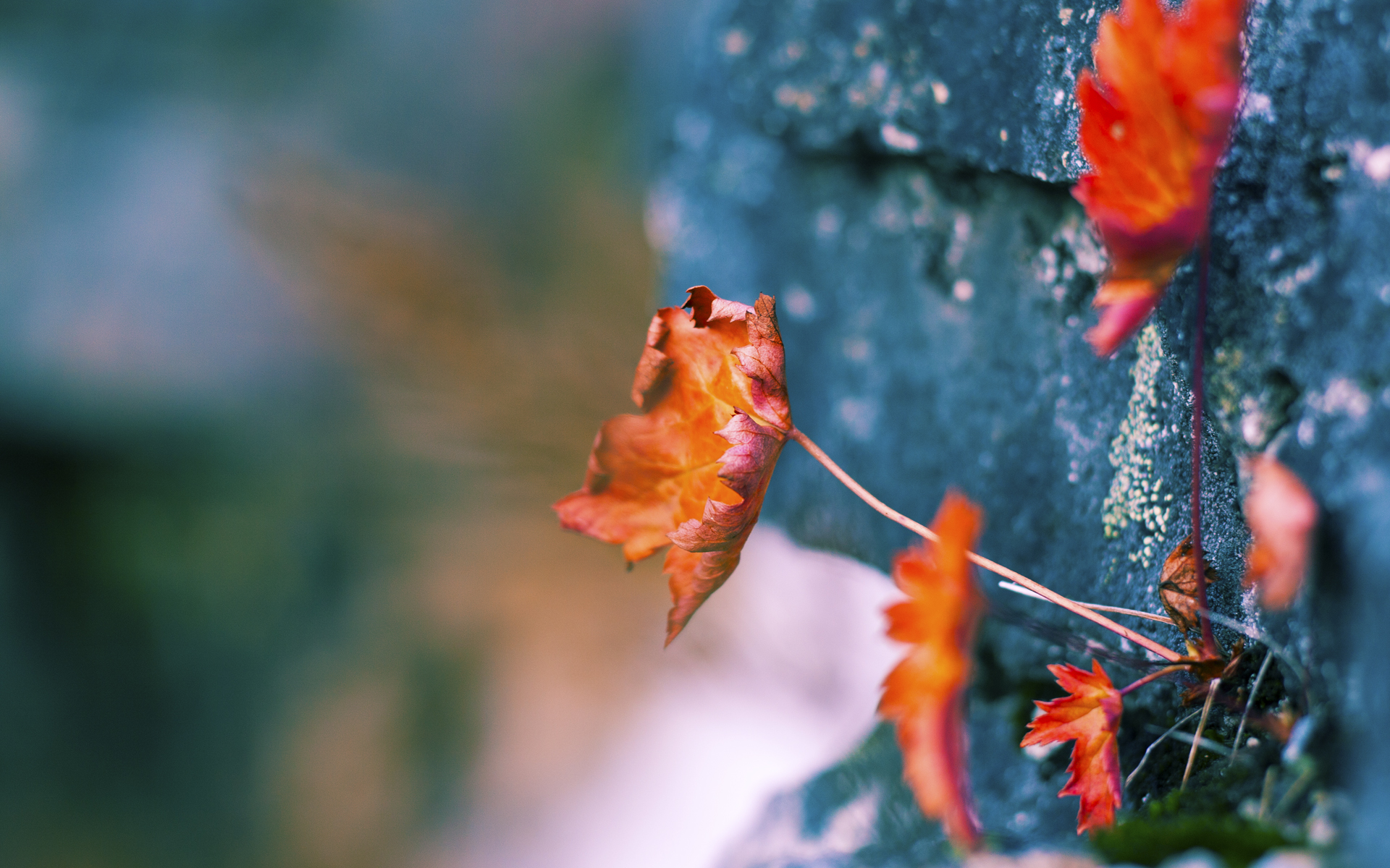 雪夜战神！班凯罗一己之力劈开胜利之路，吉林啃下浙江昂首前行