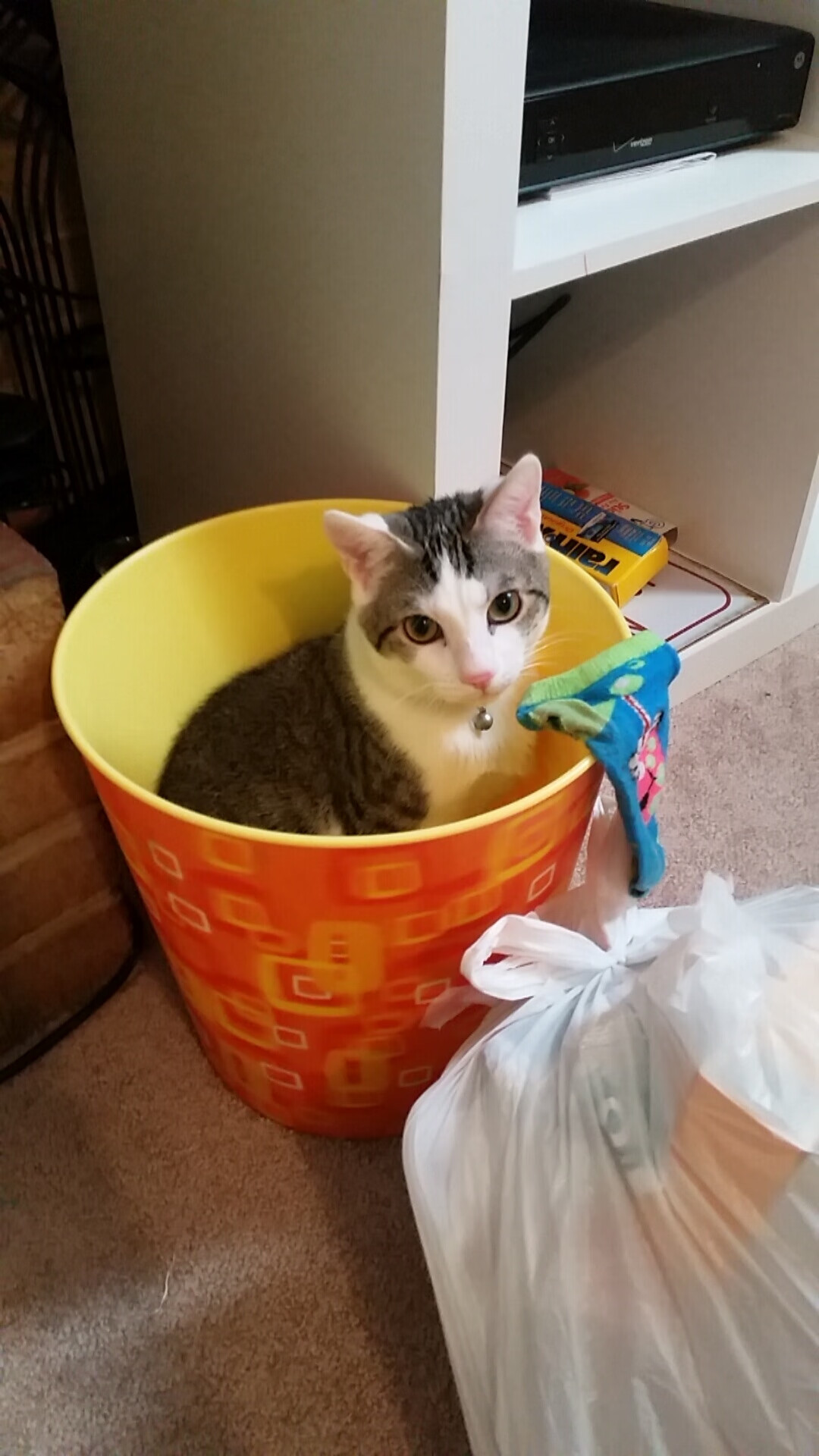 欧冠淘汰赛焦点战，利物浦客场擒下摩纳哥，带走晋级希望