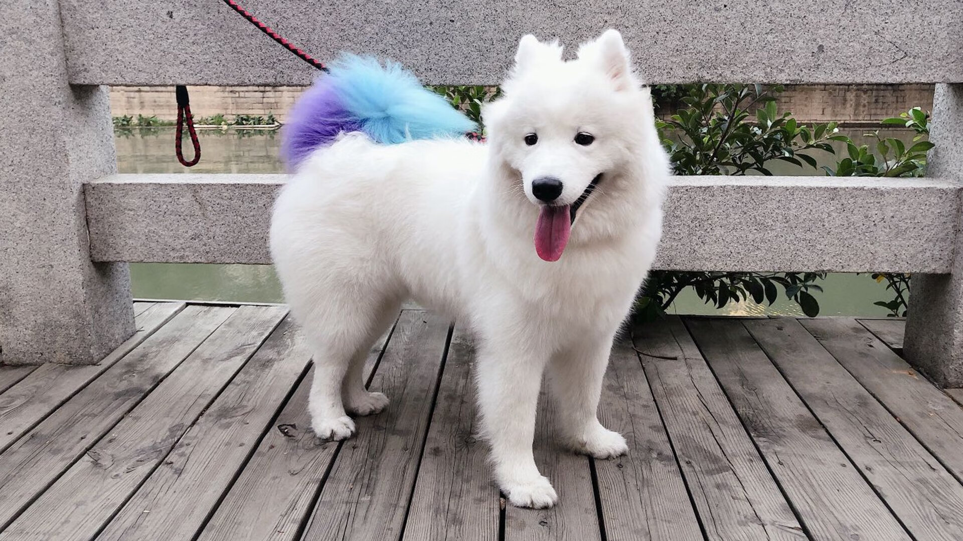 绿茵魔方，加维的21次选择与安哥拉足球升维之路